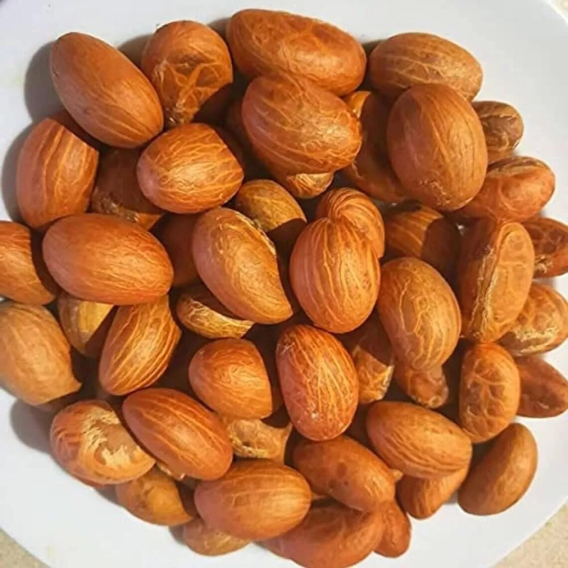 10 Health Benefits Of Bitter Kola Africa s Natural Gift To Wellness 10-health-benefits-of-bitter-kola-africa-s-natural-gift-to-wellness